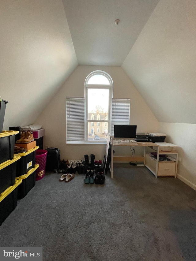 additional living space with carpet and vaulted ceiling