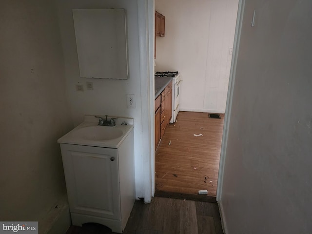 bathroom featuring wood-type flooring and sink