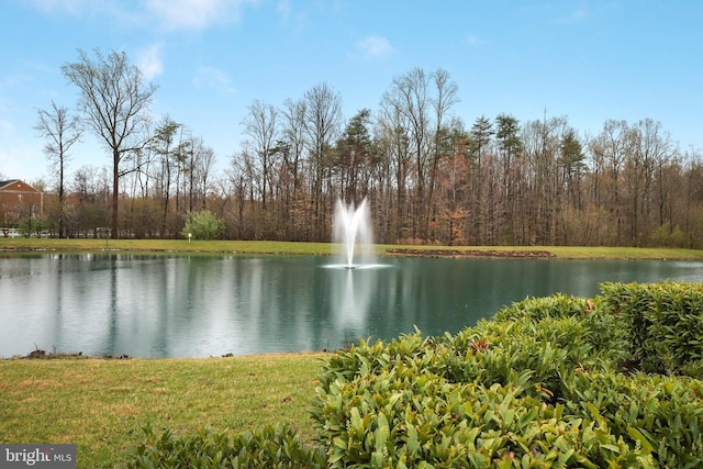 property view of water with a wooded view