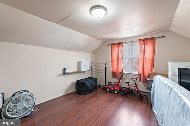 interior space with lofted ceiling and dark hardwood / wood-style floors