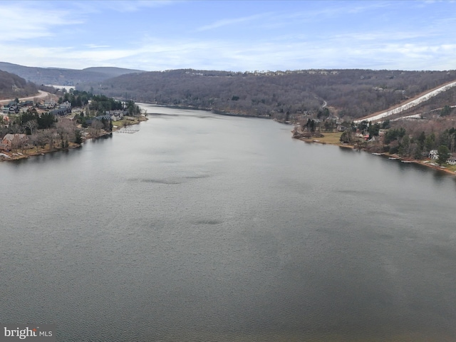 76 Bright Psge, Mc Henry, MD 21541 - exterior space featuring a water view