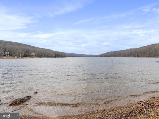 76 Bright Psge, Mc Henry, MD 21541 - water view