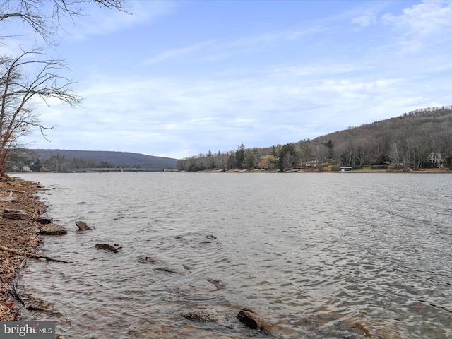 76 Bright Psge, Mc Henry, MD 21541 - view of water feature featuring a forest view