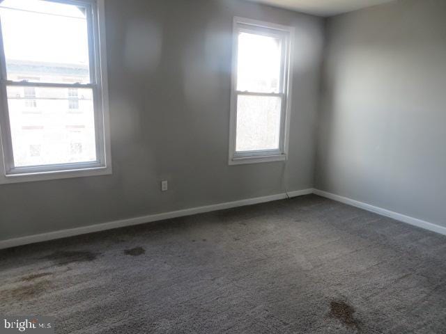 spare room with carpet floors