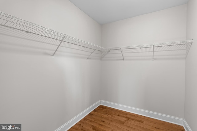 spacious closet with wood-type flooring