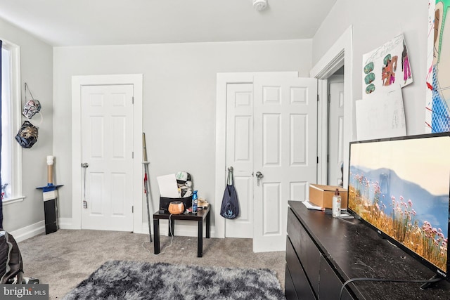 bedroom featuring carpet flooring