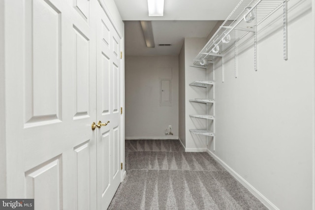 spacious closet with carpet and visible vents