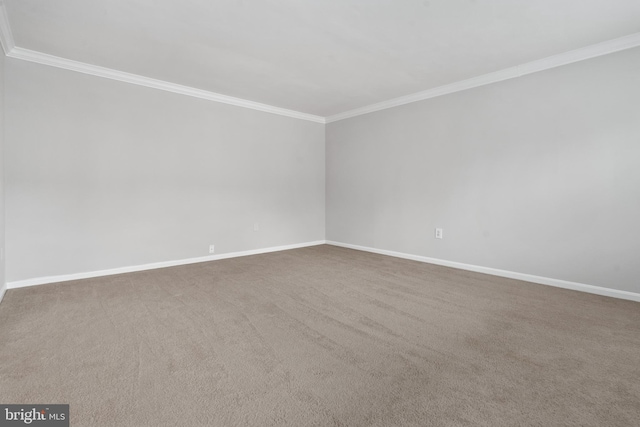 empty room with crown molding and carpet floors