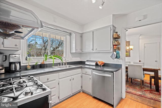 kitchen featuring range hood, sink, stainless steel appliances, and light wood-type flooring