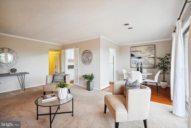 living area with crown molding and carpet