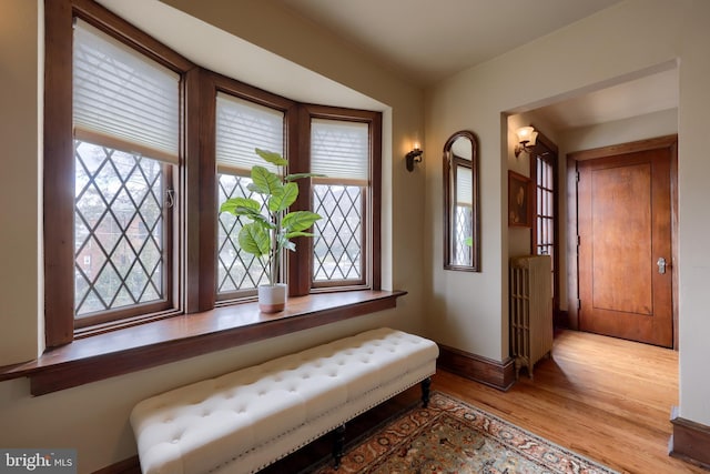 living area featuring radiator and light hardwood / wood-style flooring