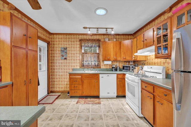 kitchen with sink, crown molding, and stainless steel appliances