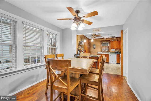 dining room with light hardwood / wood-style flooring