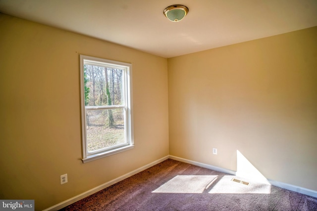 spare room featuring carpet floors