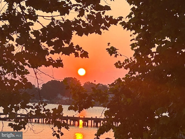 nature at dusk with a water view