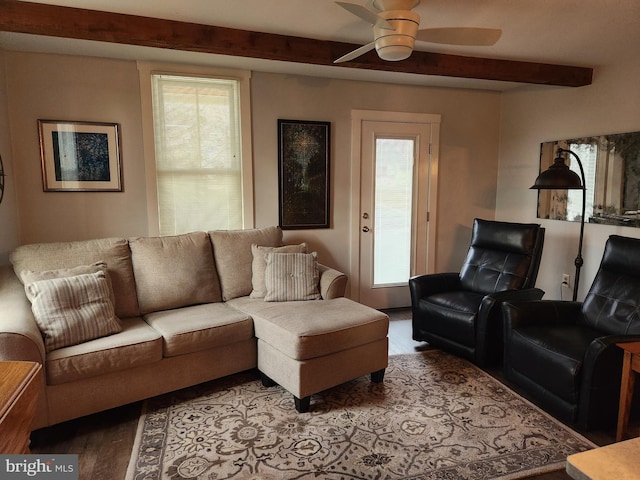 living room featuring ceiling fan and beam ceiling