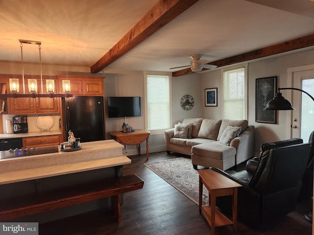 living room featuring beam ceiling, dark wood-type flooring, and ceiling fan