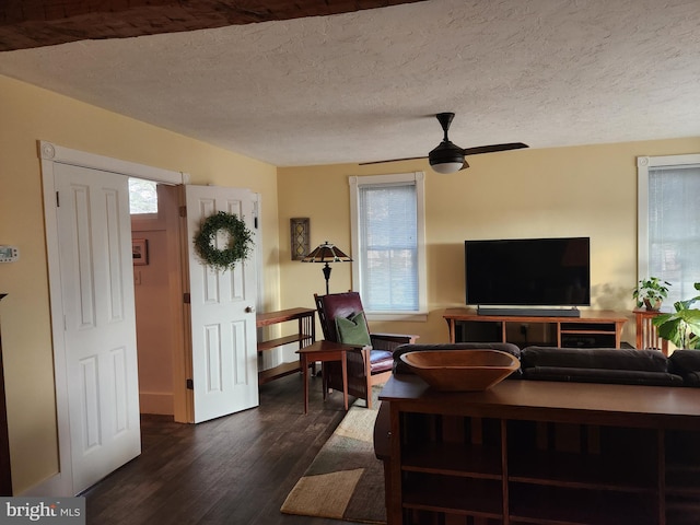 office area featuring ceiling fan, a textured ceiling, and dark hardwood / wood-style flooring