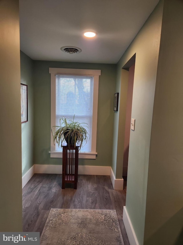 hall featuring dark wood-type flooring