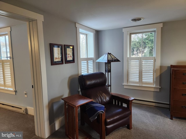 living area featuring a baseboard radiator, a healthy amount of sunlight, and carpet