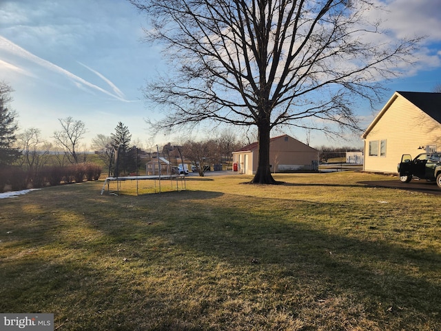 view of yard featuring a trampoline