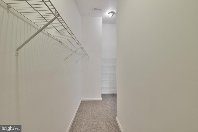 spacious closet featuring carpet floors