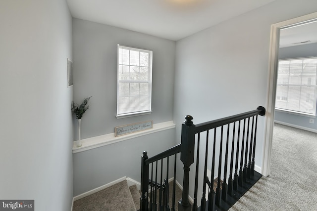 stairway featuring carpet floors