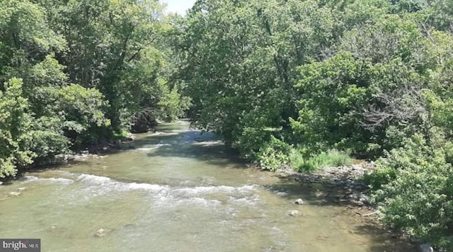 view of local wilderness