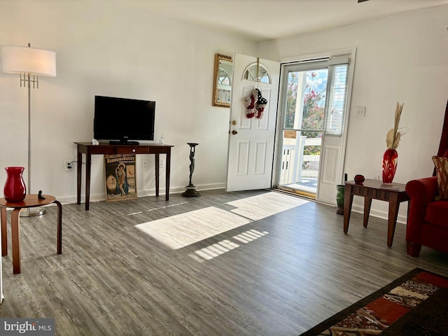 entrance foyer with hardwood / wood-style floors