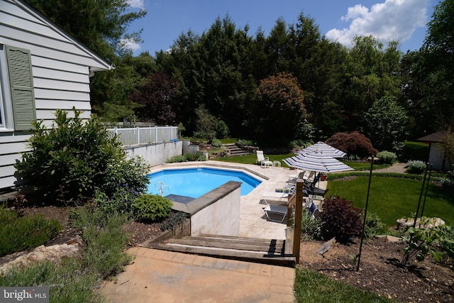 view of swimming pool with a yard and a patio