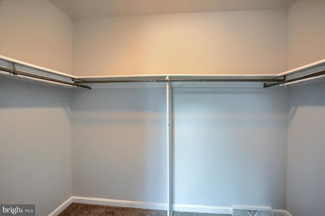 spacious closet with carpet