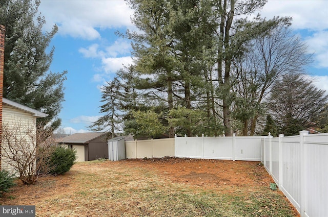 view of yard featuring a shed