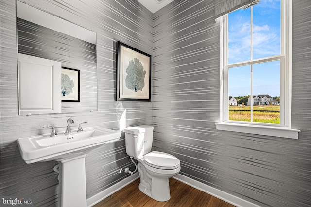 bathroom with wood-type flooring, sink, and toilet