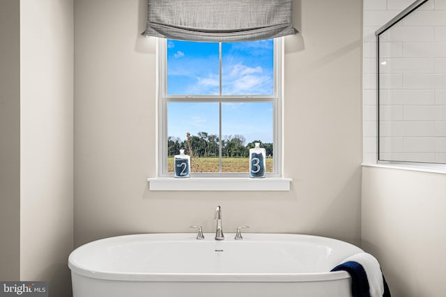 bathroom featuring a bathing tub