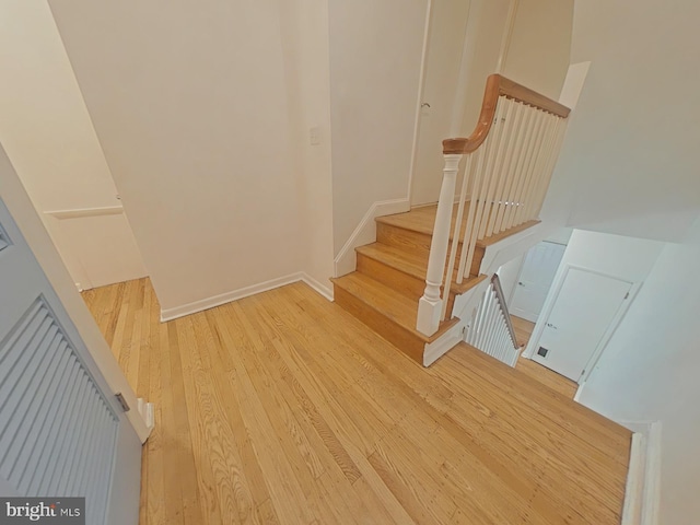 staircase with wood-type flooring