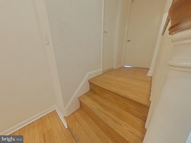 stairway featuring hardwood / wood-style flooring