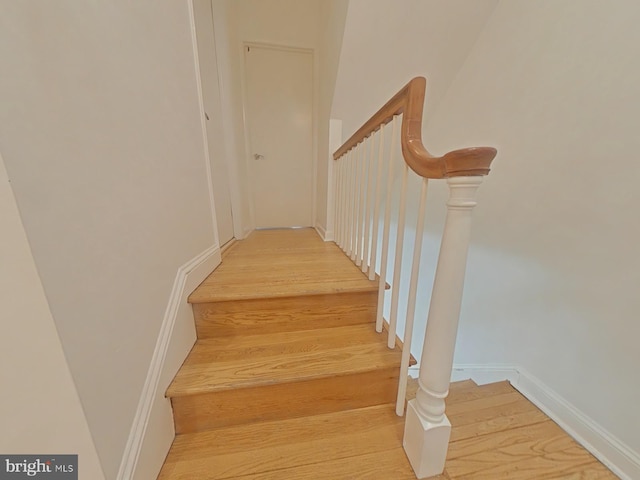 staircase featuring wood-type flooring