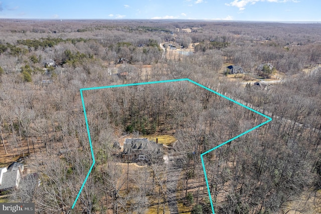 bird's eye view featuring a view of trees