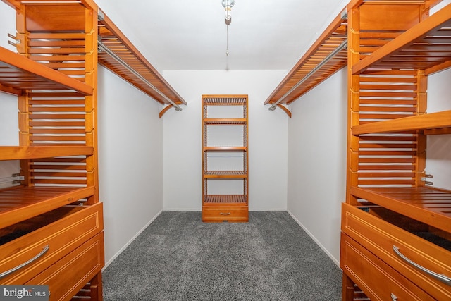 walk in closet with dark carpet