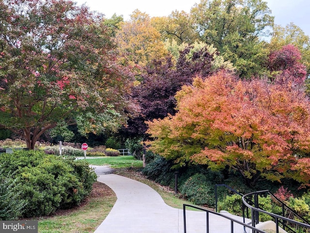 view of surrounding community