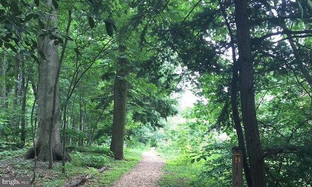 exterior space with a view of trees