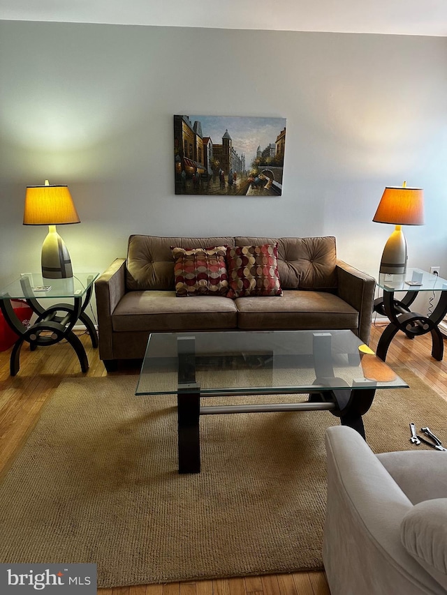 living room with hardwood / wood-style floors