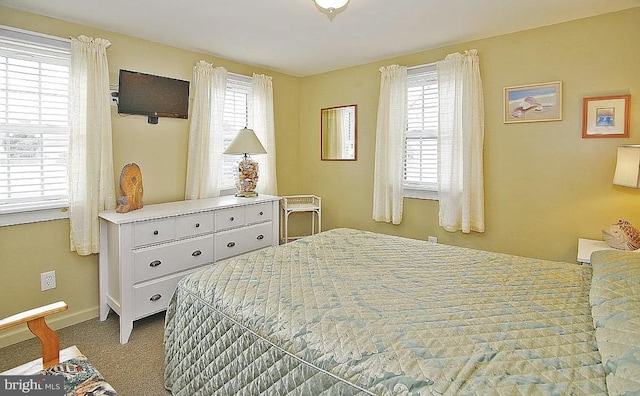 bedroom featuring carpet