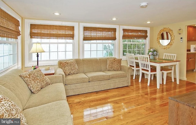 living room with light hardwood / wood-style flooring