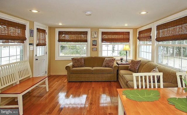 living room featuring hardwood / wood-style flooring