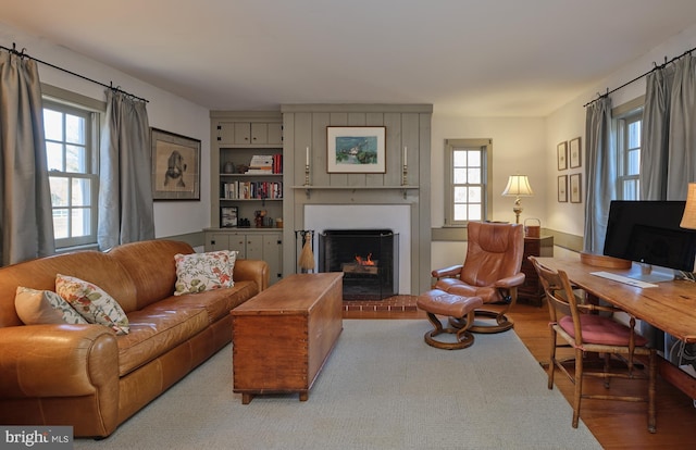 living room featuring a fireplace, light hardwood / wood-style floors, and a healthy amount of sunlight