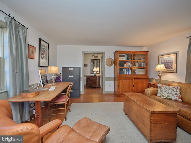 living room with light hardwood / wood-style floors