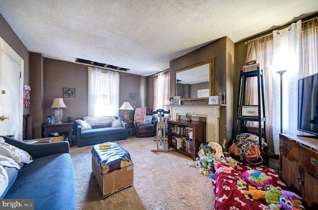 living room with carpet flooring and a textured ceiling