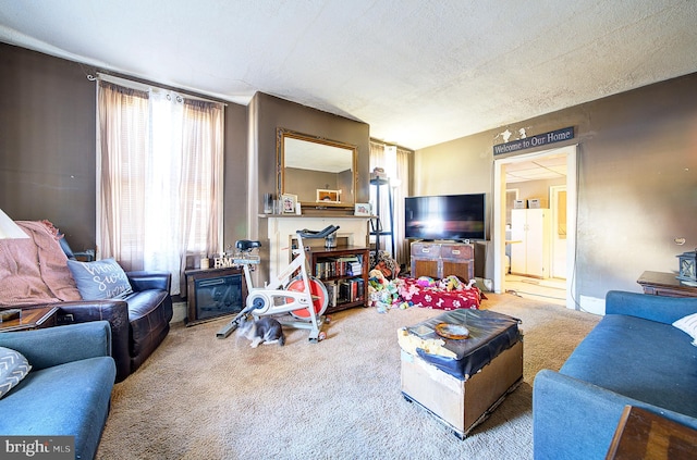 living room featuring carpet flooring and a textured ceiling