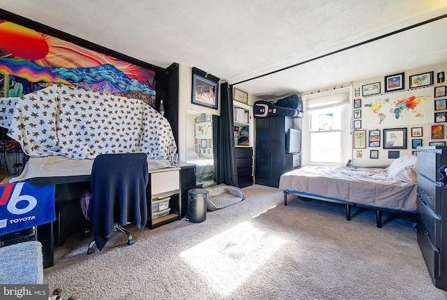 carpeted bedroom with a textured ceiling